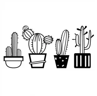 cactus 340